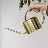Vintage Brass Watering Can