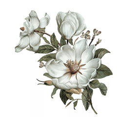 Three Ratels QC115 flowers wall sticker Classical Magnolia for home decoration wall sticker art for bedroom