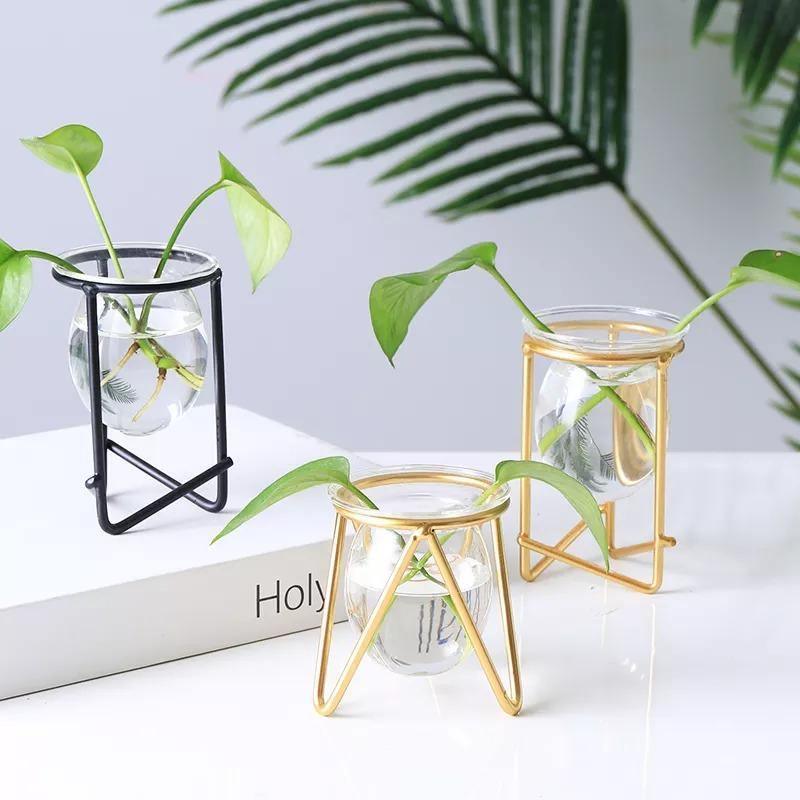 Glass Propagation Vase with Geometric Iron Stand