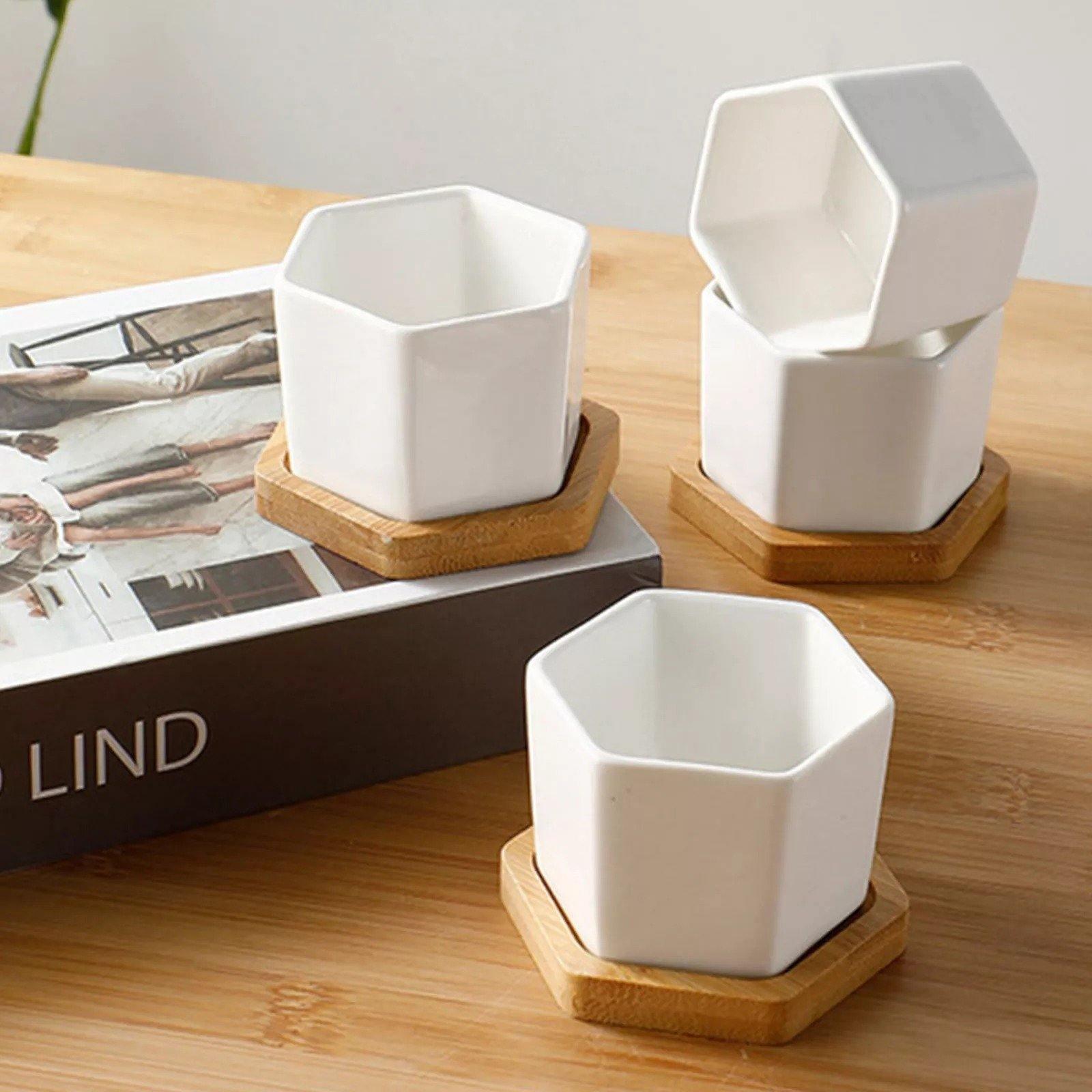 Hexagon Ceramic Succulent Planter with Bamboo Saucer